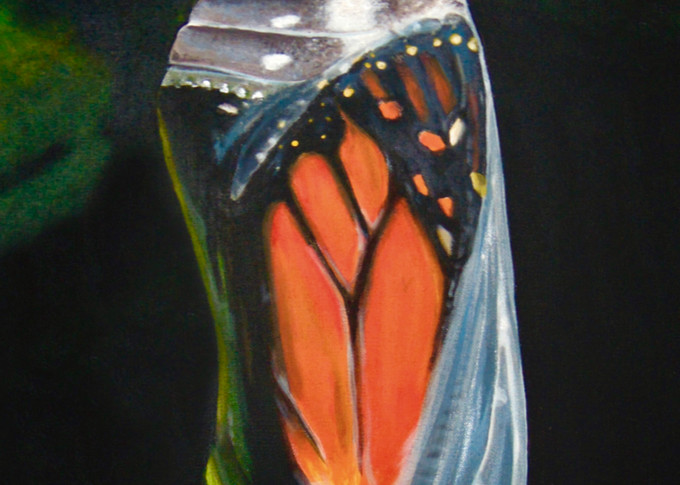 Monarch Rebirth Art | IMDArtist Barbara Andrews