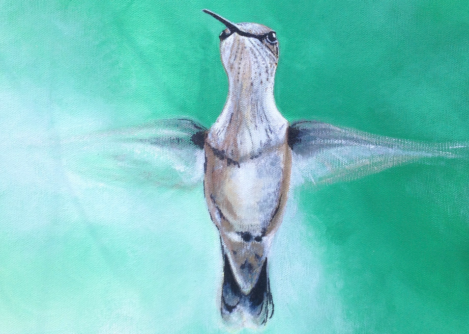 Hummer In Flight Art | IMDArtist Barbara Andrews