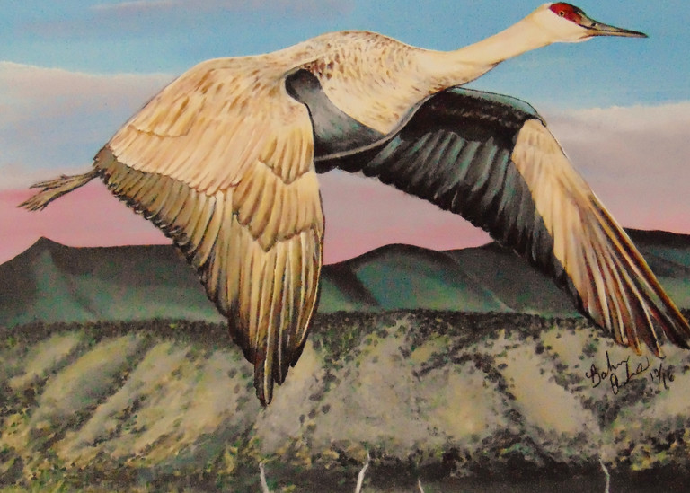 Sandhill Crane Over The Bosque Art | IMDArtist Barbara Andrews
