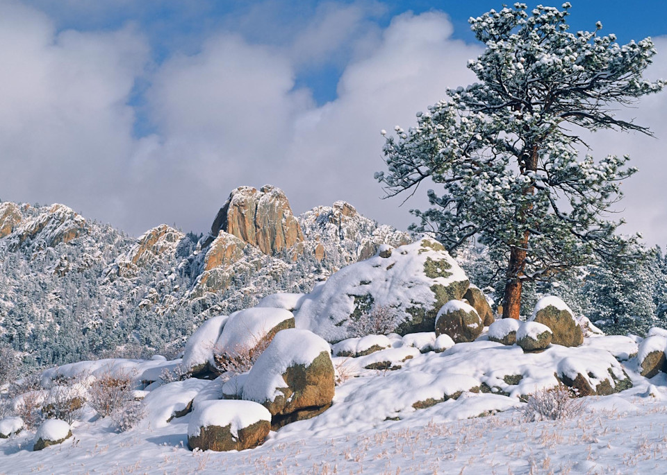 Art photographs of winter in the Rocky Mountains by James Frank