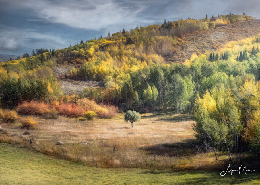 A Serene Autumn Landscape Photography Art | Lynne Marie Photography