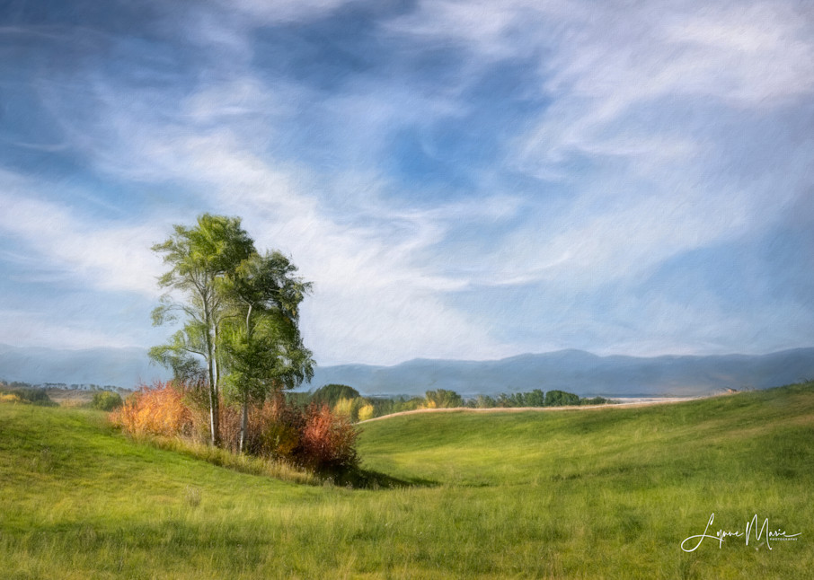 An Early Autumn Day Photography Art | Lynne Marie Photography