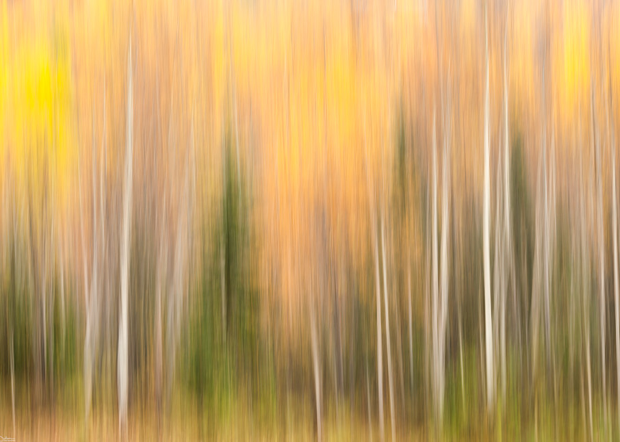 Autumn colors impressionistic photo.