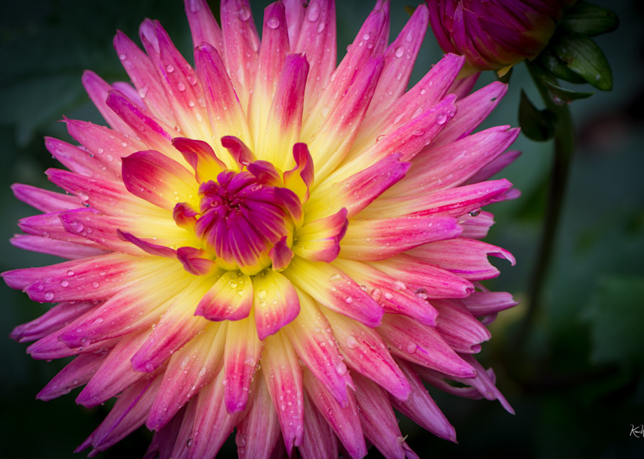 Explosion Of Color Photography Art | Ken Wiele Photography