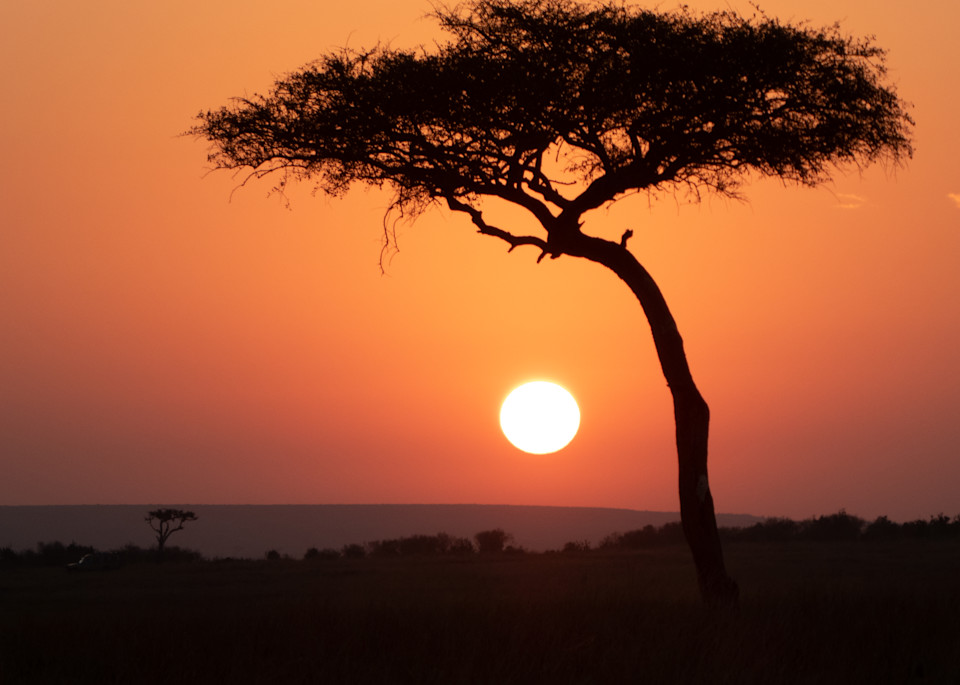 African Sunrise Photography Art | Elizabeth Fortney Photography
