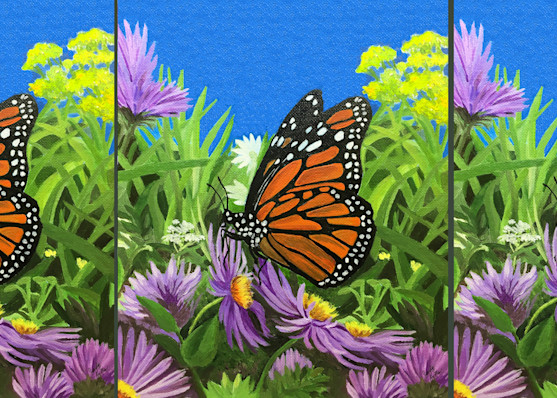 Monarch In A Field Of Asters Art | Judy's Art Co.