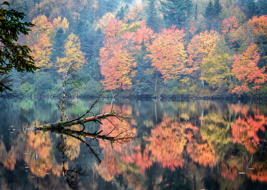 Autumn River Reflections - Minnesota Nature Photography 