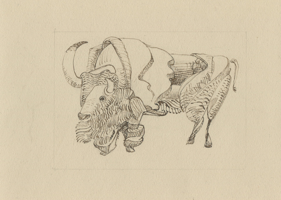 Buffaloink6 Art | michaelwilson