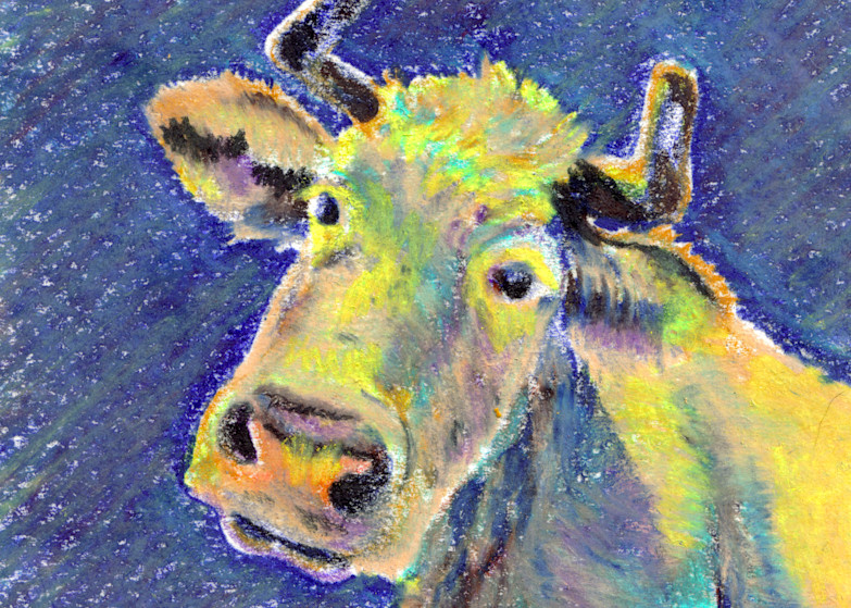 Cow Art | Jill Evans art + design