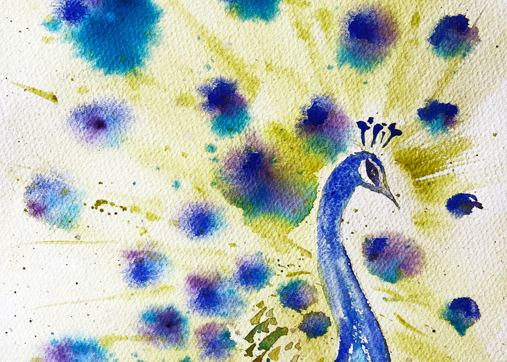 Proud Peacock Art | Color Splash Ranch