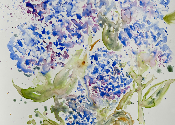 Hydrangeas Serie 2 Art | Color Splash Ranch