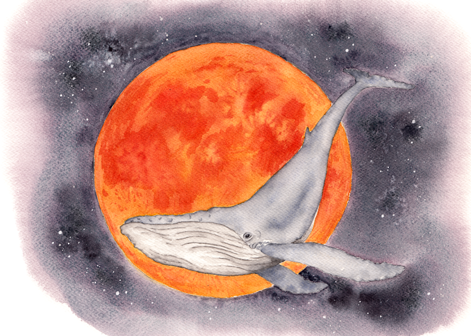 Blood Moon Whale art print