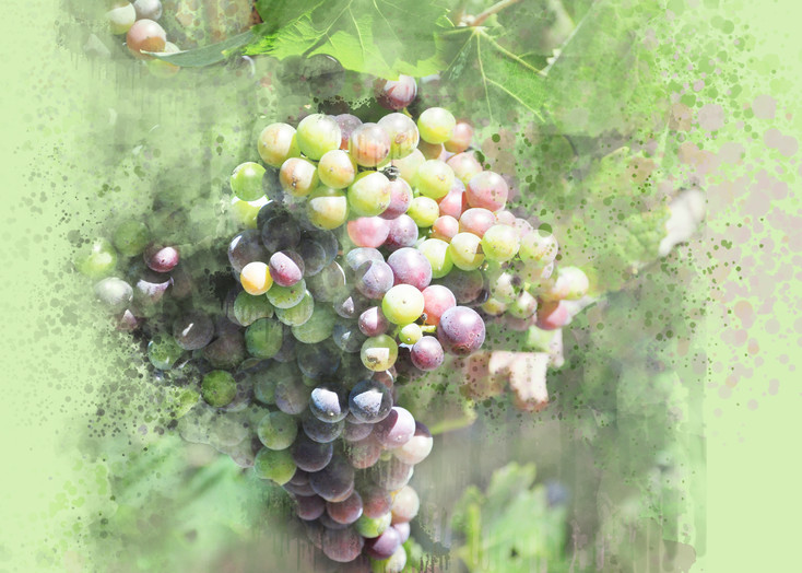 Summer Grapes Art | Art from the Soul