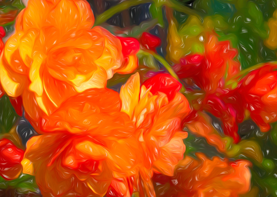 Peach Colored Flower Lines Photography Art | Photoeye Inc
