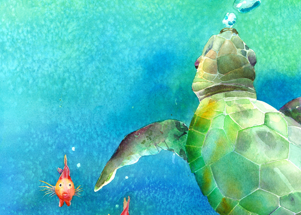 Sea Turtle  Art | Jill Evans art + design