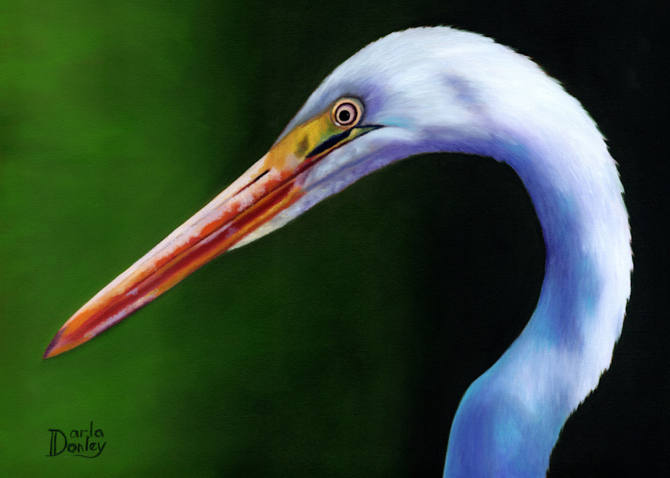 Majestic Egret Art | darladonleyart