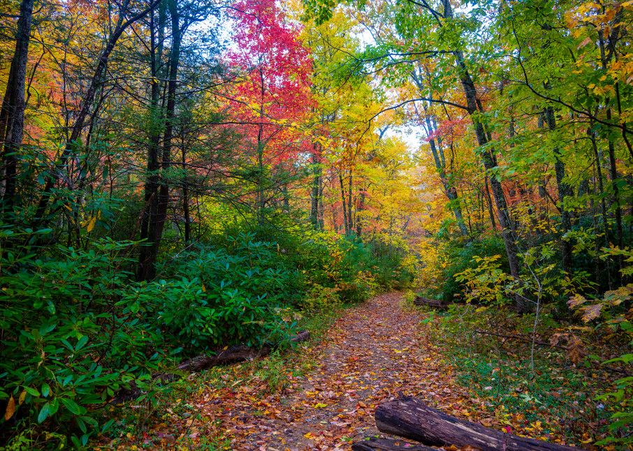 Autumn Stroll on Shope Creek Trail