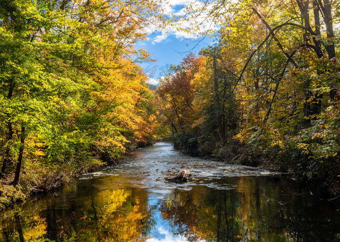 Davidson River In Fall Print
