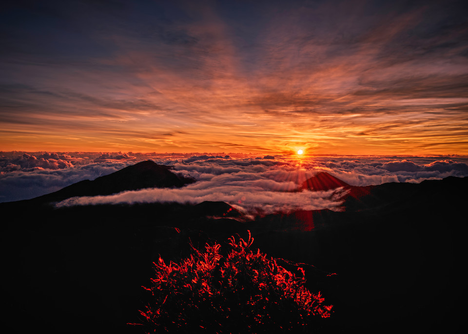 Haleakala Sunrise Iv Art | GRZ Studios