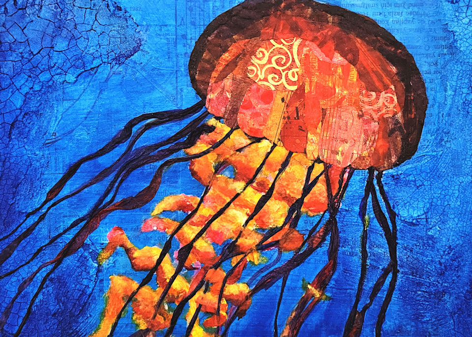 Pacific Sea Nettle Art | Poppyfish Studio