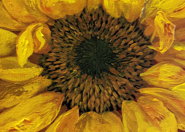 Sunshine In Bloom   Merchandise  Art | Christina Sandholtz Art