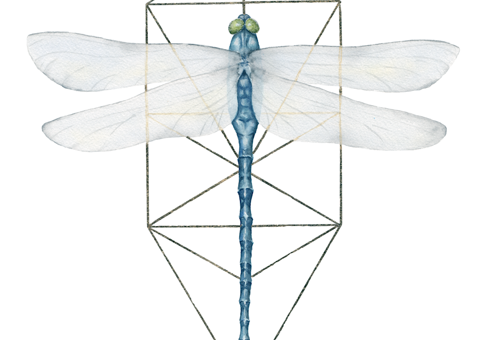 tree of life dragonfly art print