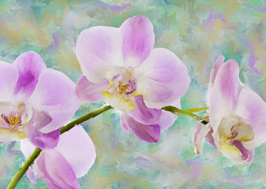 Orchid Four Art | Rick Peterson Studio