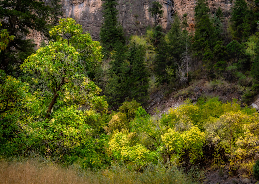 Companions In The Canyon, Glenwood Springs, Colorado Photography Art | Deni Cary Phillips Photographs