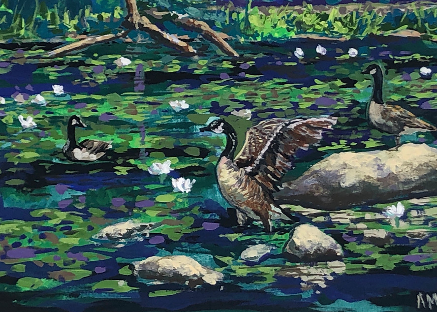 Canadian Feathered Friends Art | Ann Hershberger Art