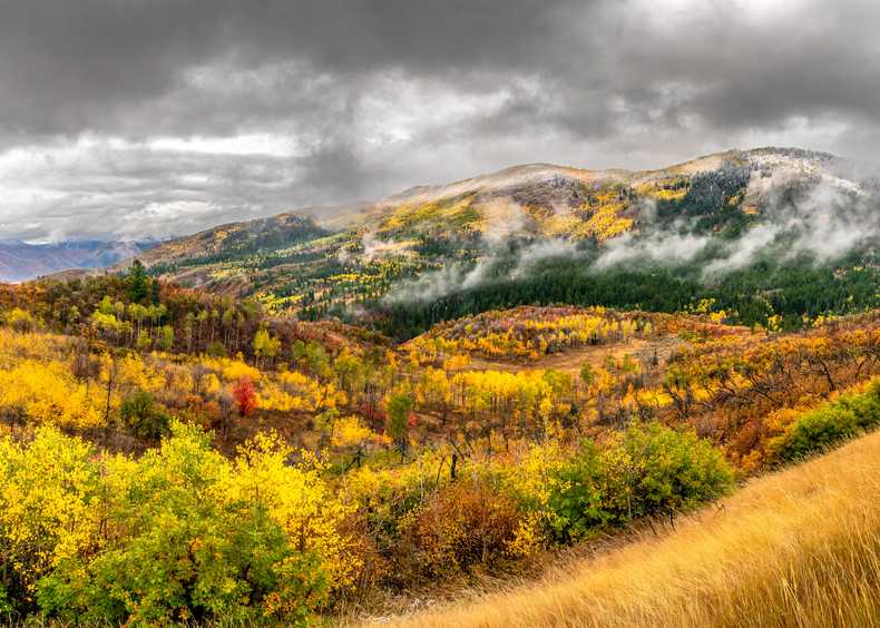 Stormy Day In The Wasatch Mountains Photography Art | Mind Works Images