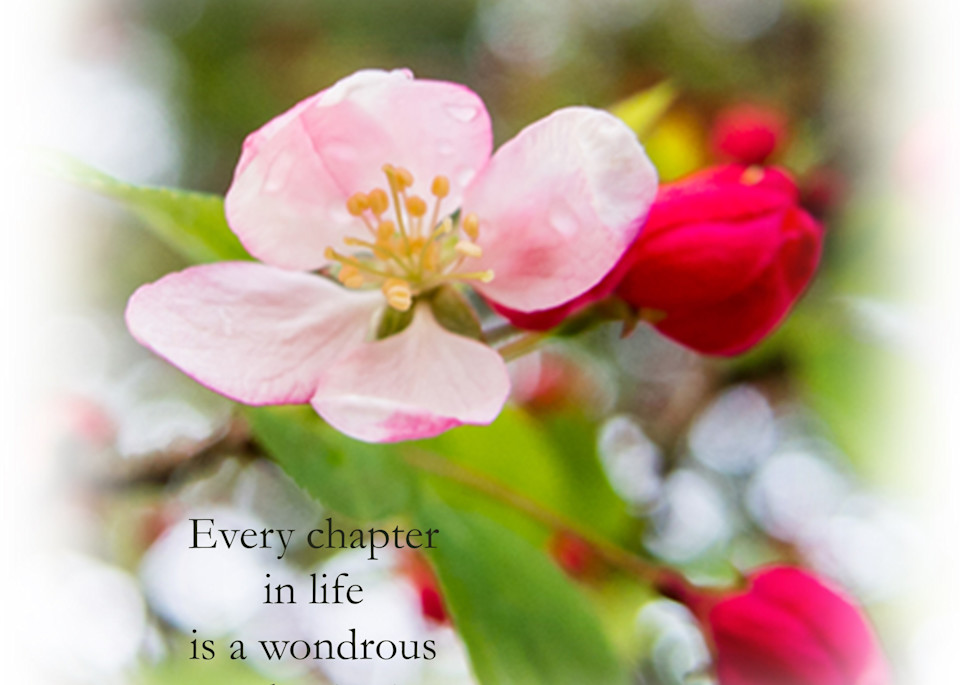 Flowers & Joy Quote 6 
