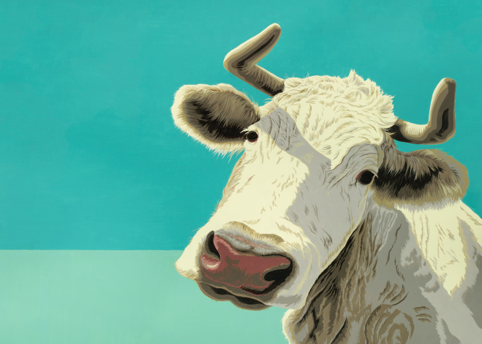Graphic cow with horns on aqua background