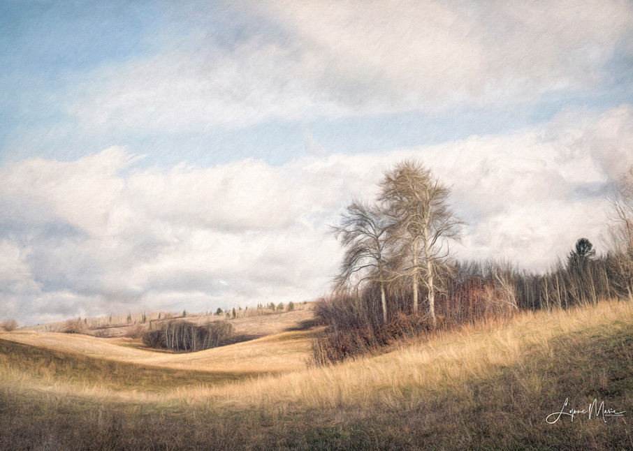 A Late Autumn Rural Landscape Photography Art | Lynne Marie Photography