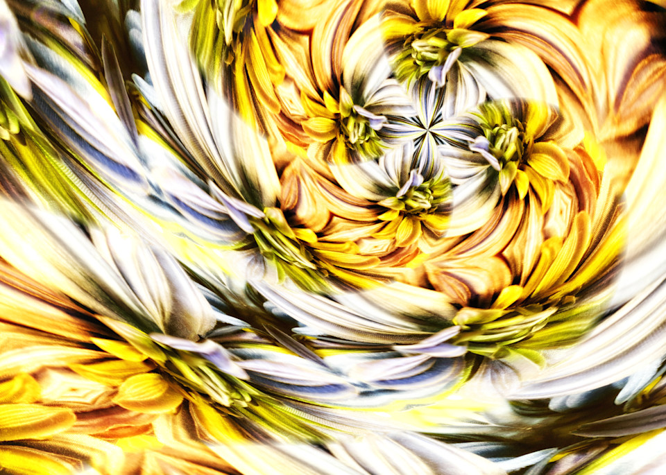 Circular Yellow Swirl Photography Art | Kathleen Messmer Photography