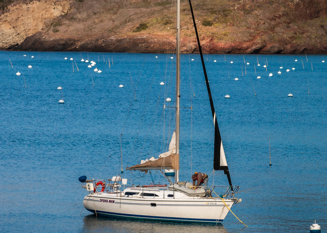 Lone Sailboat in Isthmus Cove