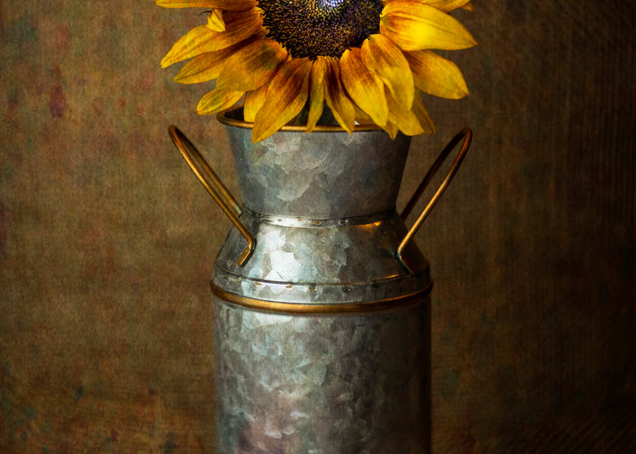 Sunflower And Milk Photography Art | BPB Photography
