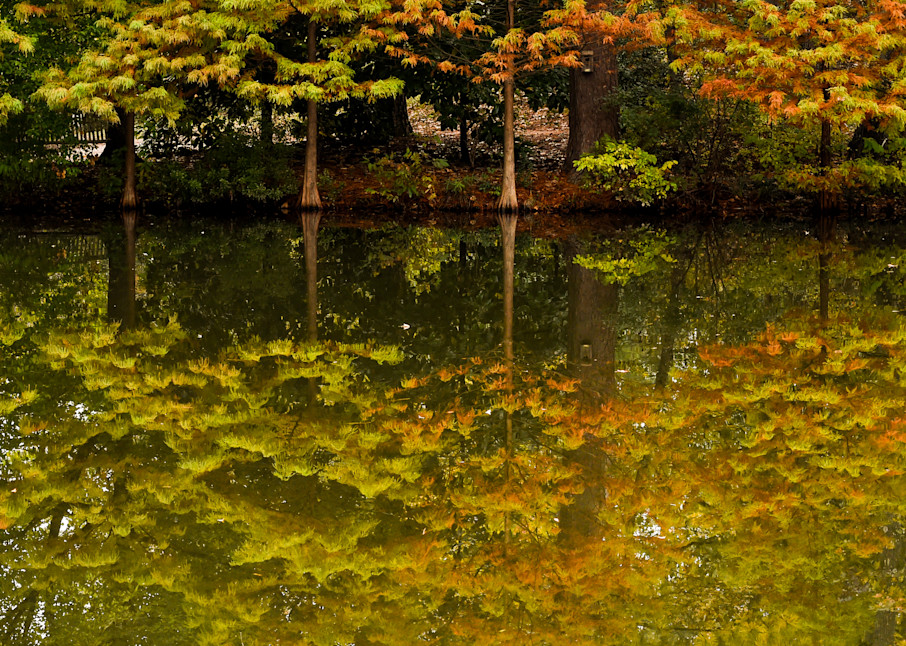 Fall Reflections Photography Art | John's Photos