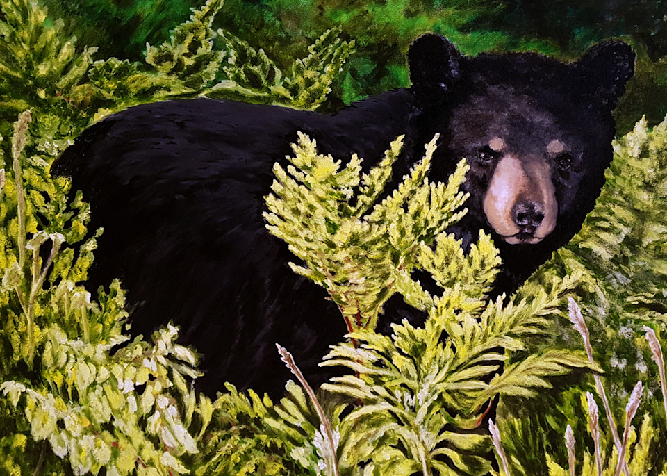 Algonquin, Black Bear Art | Lynda Moffatt Fine Arts