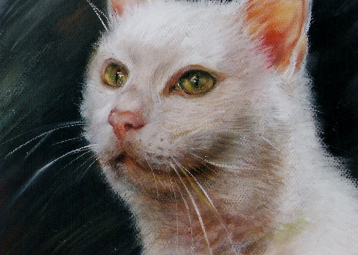   White Cat      Art | ELENA ERŐS FINE ART