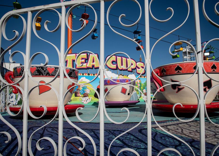 Tea Cups  Photography Art | Lori Ballard Photography