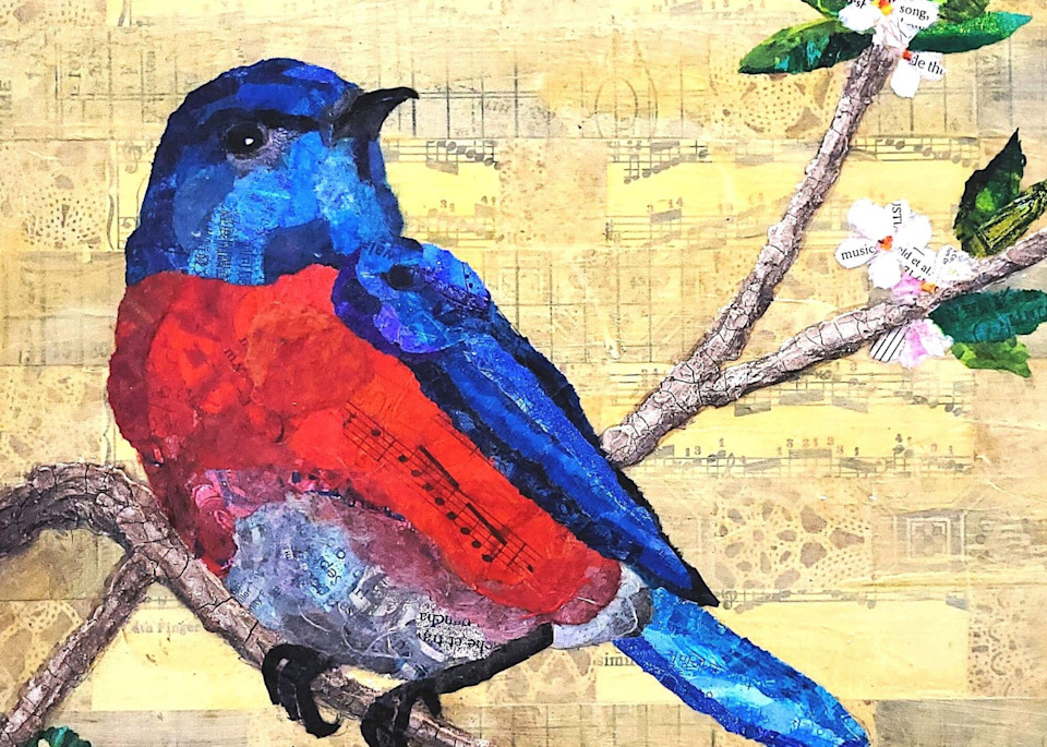 Backyard Birds: Western Bluebird Art | Poppyfish Studio