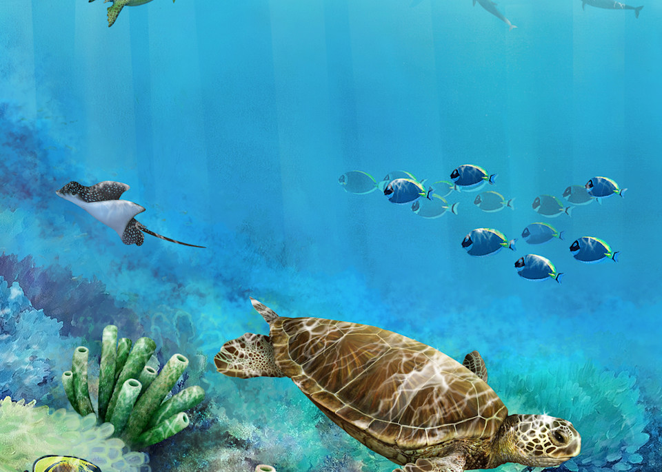 Tropical Coral Reef And Green Sea Turtle Art | B.Harmon Art, Illustration & Prints