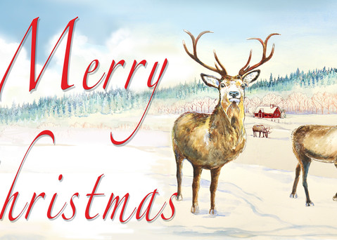 Merry Christms.Bird Reindeer Cup Art | TOSCH STUDIO