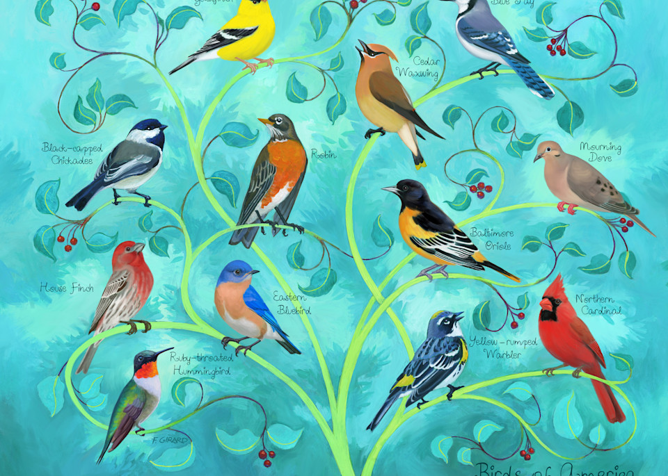 Birds Of America Art | Studio Girard
