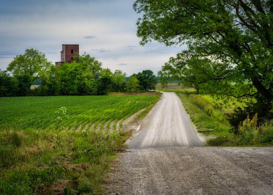 The Old Mill Road Photography Art | Deni Cary Phillips Photographs