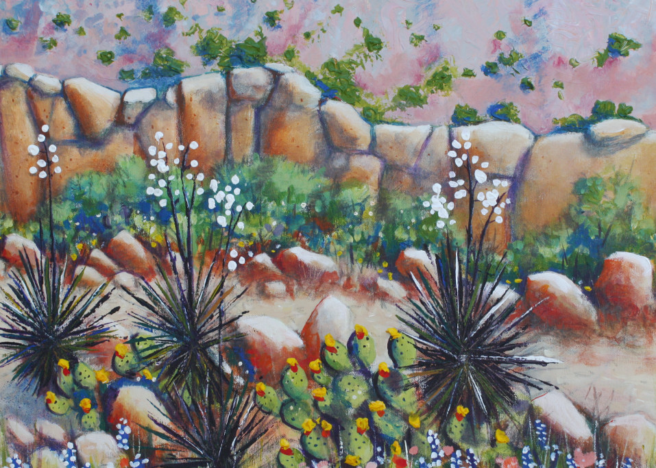 The Desert Rocks 1 Art | Art By Jimmy D McDonald