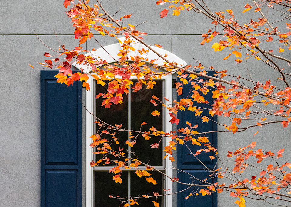 Shutters and Leaves