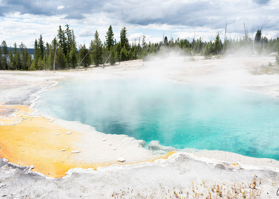 Constance Mier Travel Photography - beautiful prints of Yellowstone National Park