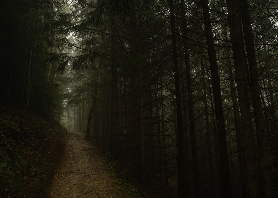 Hiking a dirt path into a dark, misty evergreen forest in France