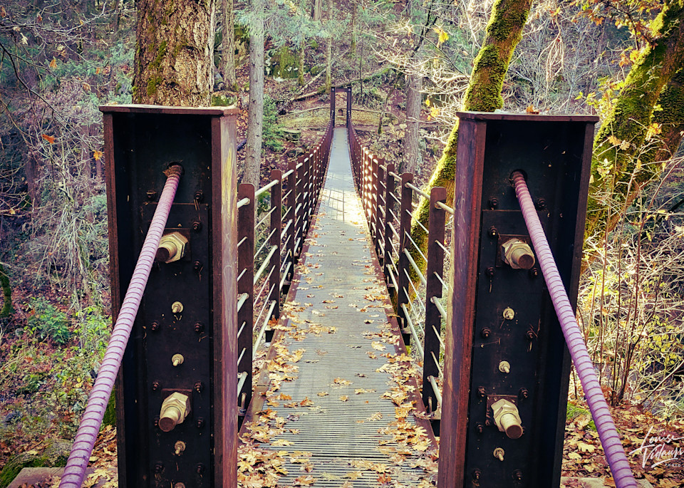 Swinging Bridge Photography Art | Louise Vidaurri Photo Art